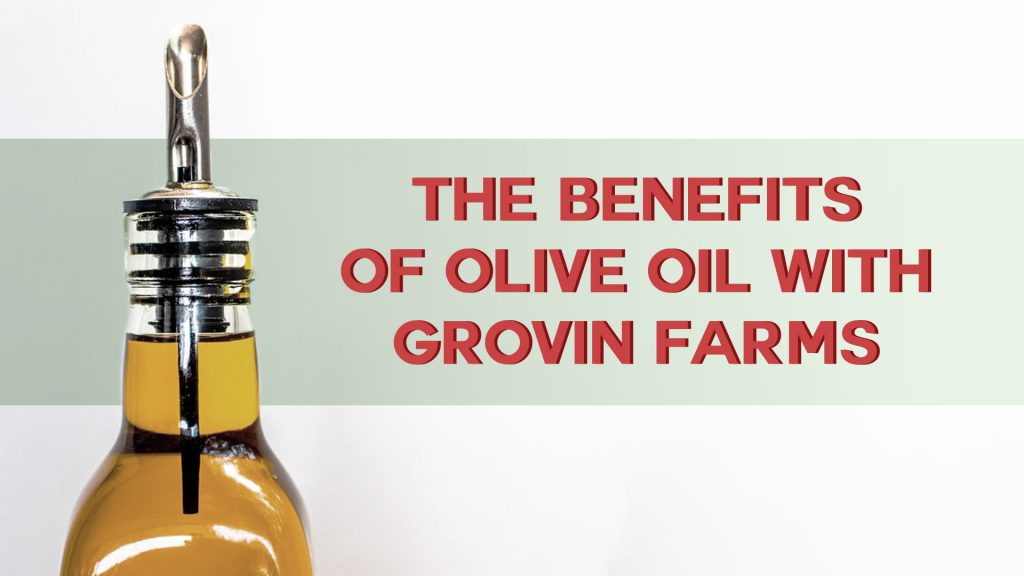 benefits of olive oil | Grovin Farms | Melrose, FL