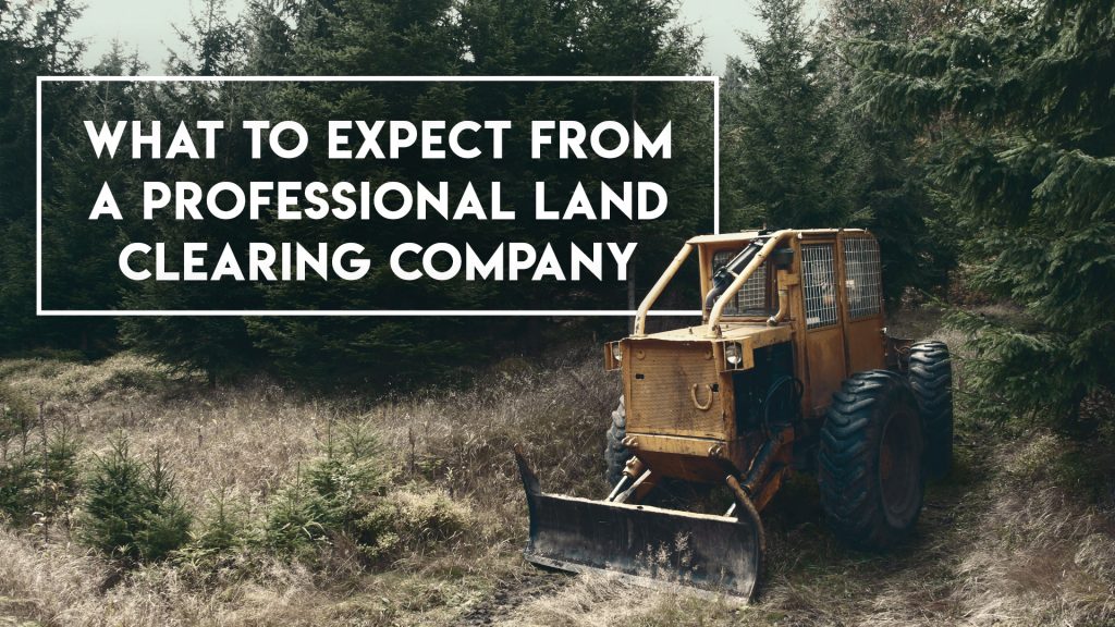 Land clearing, Ground Clearing, site development, Steelwrist Equipment, lot clearing near me | Grovin Farms, FL