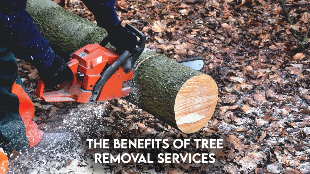 Land clearing, Ground Clearing, site development, Steelwrist Equipment, lot clearing near me, Land clearing, Ground Clearing, site development, Steelwrist Equipment, lot clearing near me, tree removal services | Grovin Farms, FL
