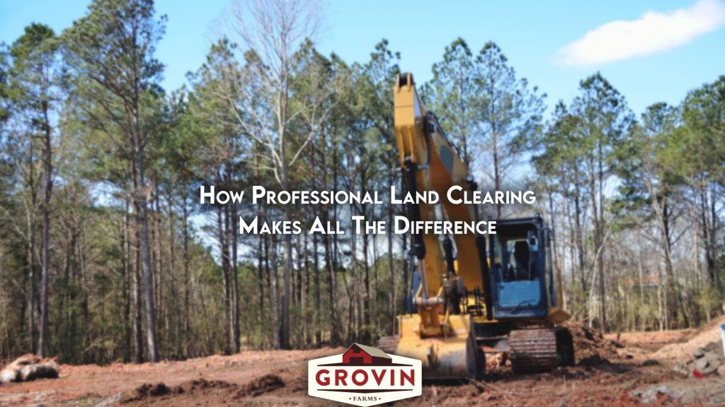 Professional Lot clearing company, land clearing in florida, lot clearing near me, sod farm, sod provider