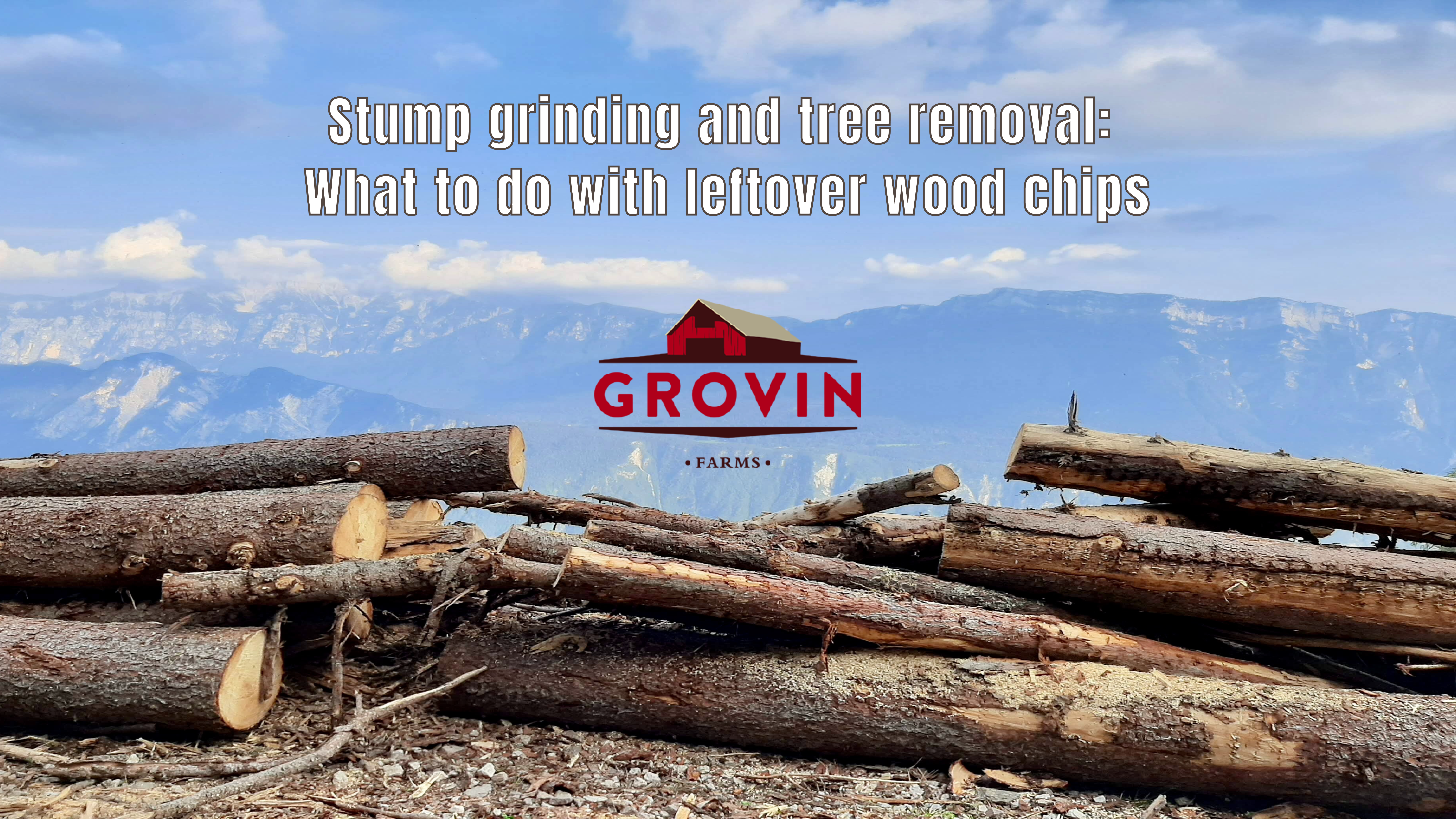 Stump Grinding and Tree Removal | Grovin Farms