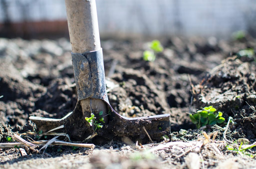 saving florida's agriculture