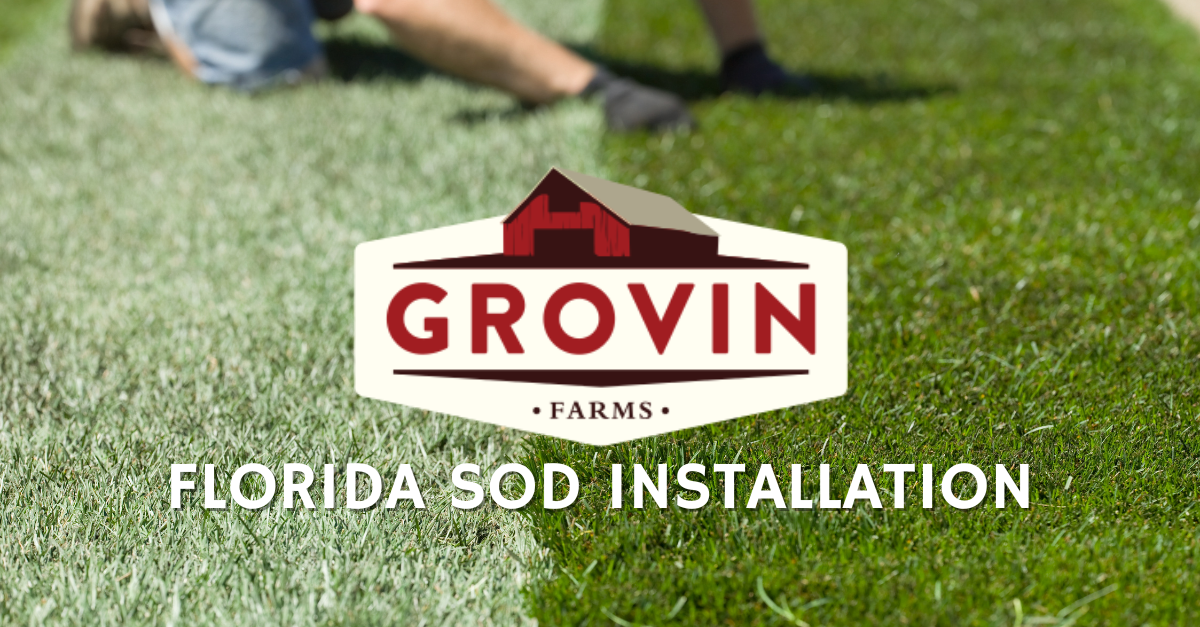 FLORIDA SOD INSTALLATION